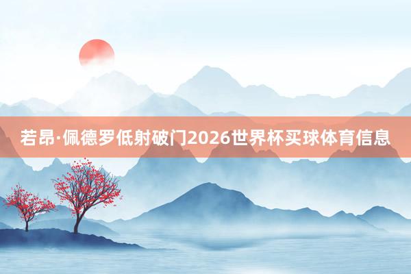 若昂·佩德罗低射破门2026世界杯买球体育信息