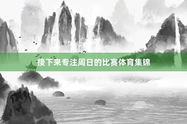 接下来专注周日的比赛体育集锦
