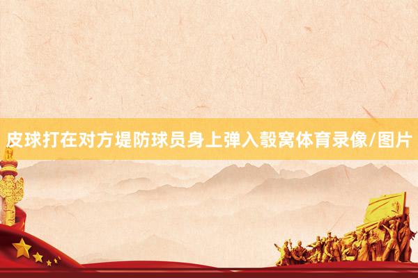 皮球打在对方堤防球员身上弹入彀窝体育录像/图片