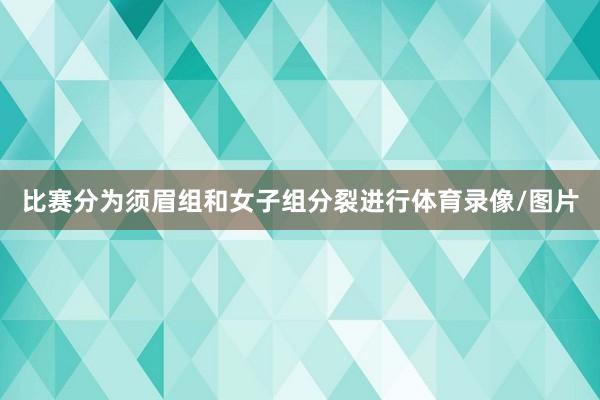 比赛分为须眉组和女子组分裂进行体育录像/图片