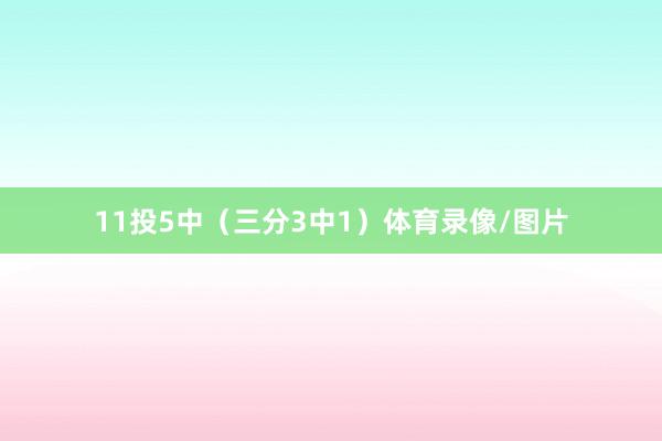 11投5中（三分3中1）体育录像/图片
