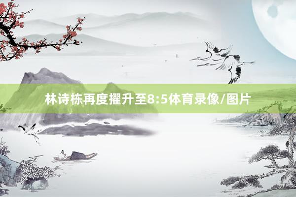 林诗栋再度擢升至8:5体育录像/图片