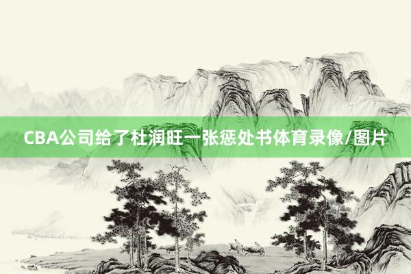 CBA公司给了杜润旺一张惩处书体育录像/图片