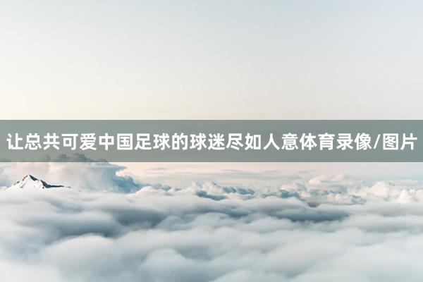 让总共可爱中国足球的球迷尽如人意体育录像/图片