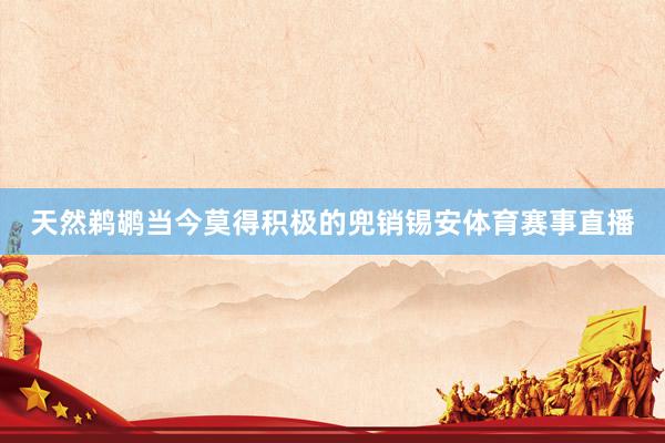 天然鹈鹕当今莫得积极的兜销锡安体育赛事直播