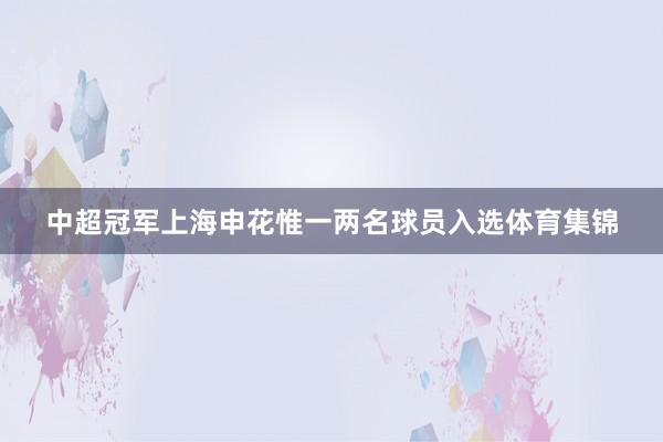 中超冠军上海申花惟一两名球员入选体育集锦