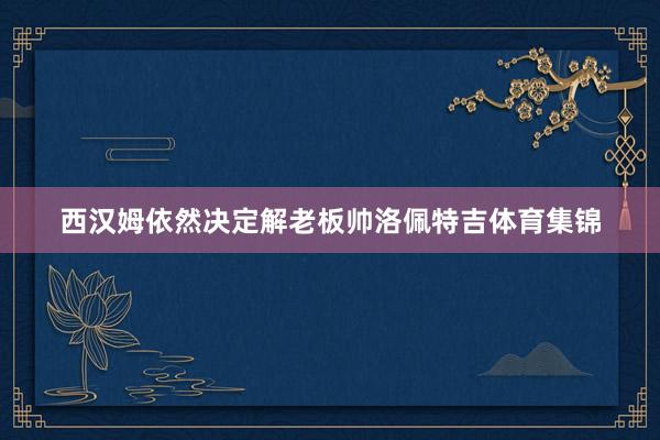 西汉姆依然决定解老板帅洛佩特吉体育集锦