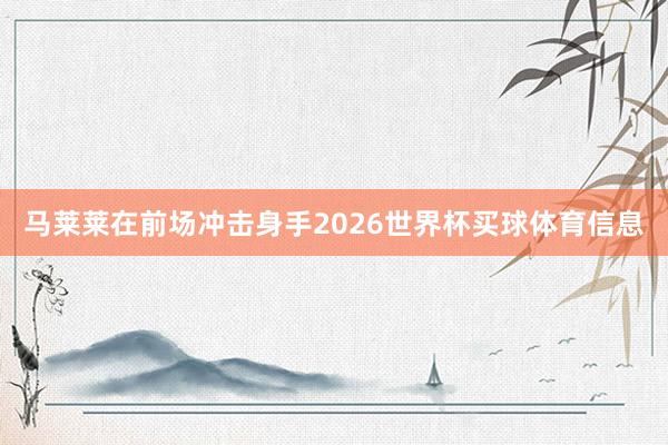 马莱莱在前场冲击身手2026世界杯买球体育信息