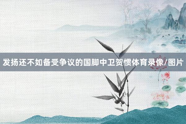 发扬还不如备受争议的国脚中卫贺惯体育录像/图片