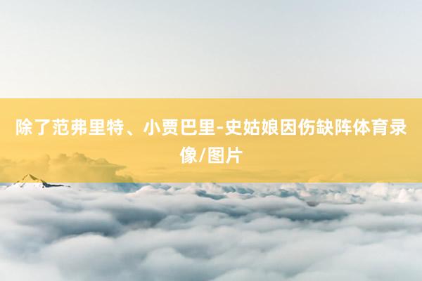 除了范弗里特、小贾巴里-史姑娘因伤缺阵体育录像/图片