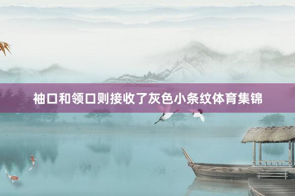 袖口和领口则接收了灰色小条纹体育集锦