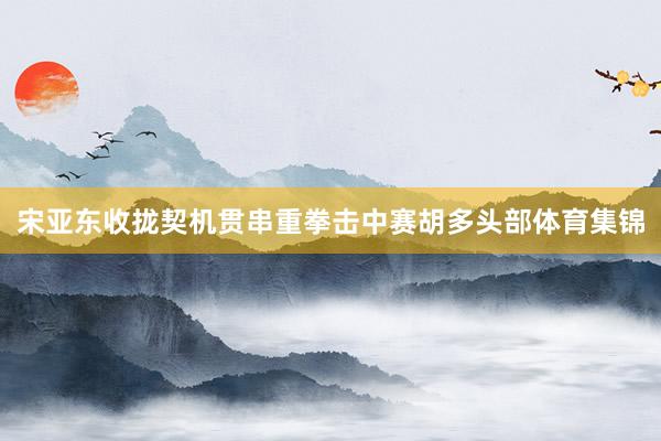宋亚东收拢契机贯串重拳击中赛胡多头部体育集锦