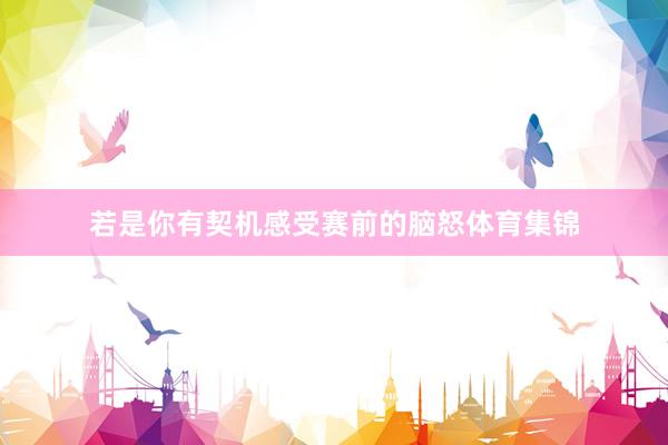 若是你有契机感受赛前的脑怒体育集锦