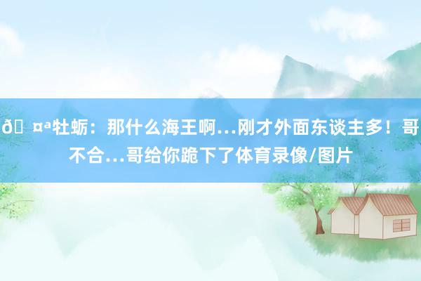 🤪牡蛎：那什么海王啊…刚才外面东谈主多！哥不合…哥给你跪下了体育录像/图片