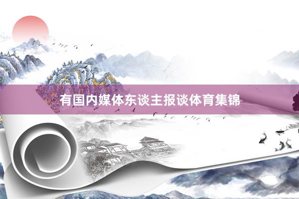 有国内媒体东谈主报谈体育集锦