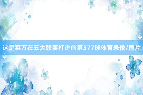 这是莱万在五大联赛打进的第377球体育录像/图片