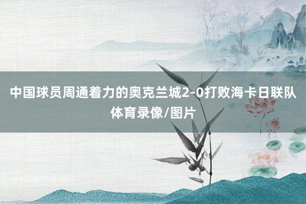 中国球员周通着力的奥克兰城2-0打败海卡日联队体育录像/图片