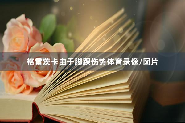 格雷茨卡由于脚踝伤势体育录像/图片