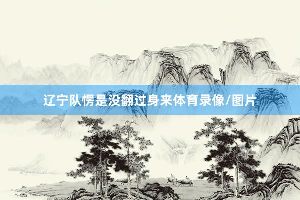 辽宁队愣是没翻过身来体育录像/图片