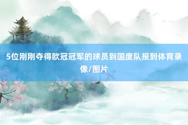5位刚刚夺得欧冠冠军的球员到国度队报到体育录像/图片