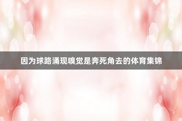 因为球路涌现嗅觉是奔死角去的体育集锦