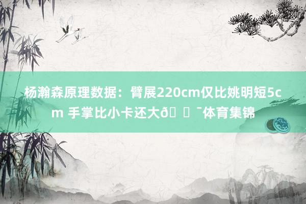 杨瀚森原理数据：臂展220cm仅比姚明短5cm 手掌比小卡还大😯体育集锦
