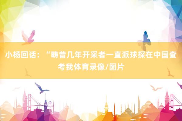 小杨回话:“畴昔几年开采者一直派球探在中国查考我体育录像/图片