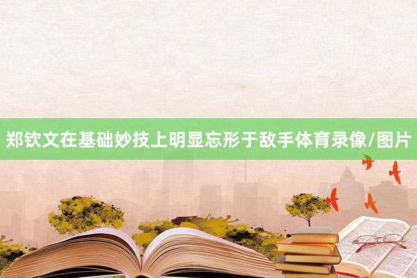 郑钦文在基础妙技上明显忘形于敌手体育录像/图片