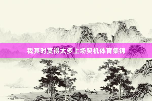 我其时莫得太多上场契机体育集锦