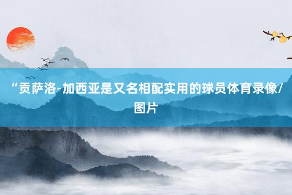 “贡萨洛-加西亚是又名相配实用的球员体育录像/图片