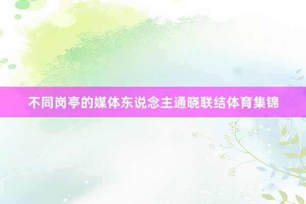 不同岗亭的媒体东说念主通晓联结体育集锦