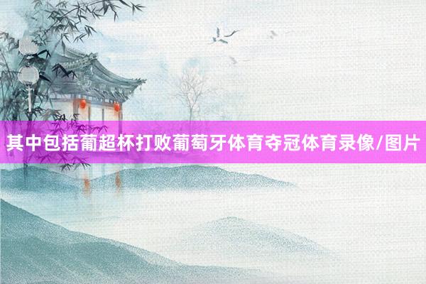 其中包括葡超杯打败葡萄牙体育夺冠体育录像/图片