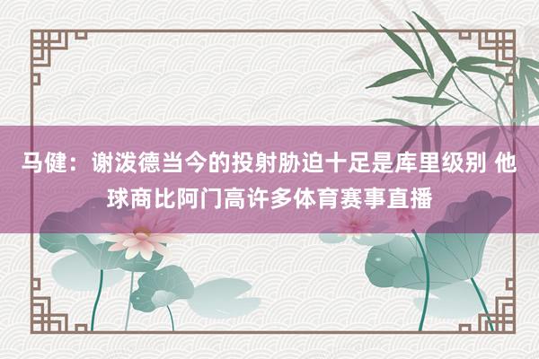 马健：谢泼德当今的投射胁迫十足是库里级别 他球商比阿门高许多体育赛事直播