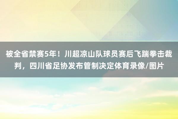 被全省禁赛5年！川超凉山队球员赛后飞踹拳击裁判，四川省足协发布管制决定体育录像/图片