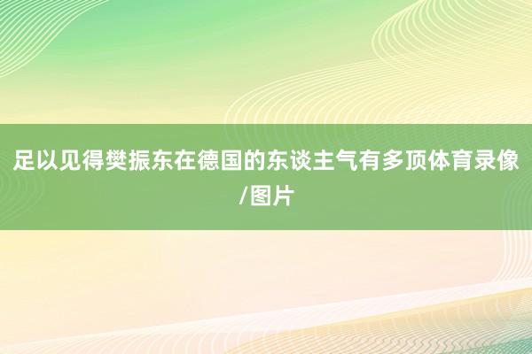 足以见得樊振东在德国的东谈主气有多顶体育录像/图片