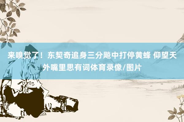 来嗅觉了！东契奇追身三分飚中打停黄蜂 仰望天外嘴里思有词体育录像/图片