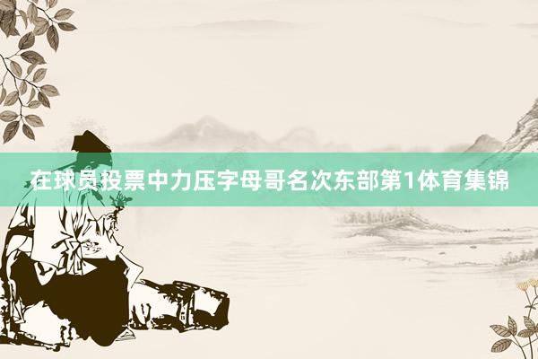 在球员投票中力压字母哥名次东部第1体育集锦