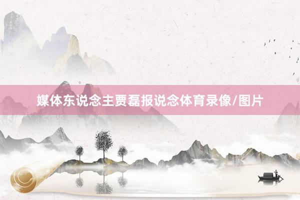 媒体东说念主贾磊报说念体育录像/图片