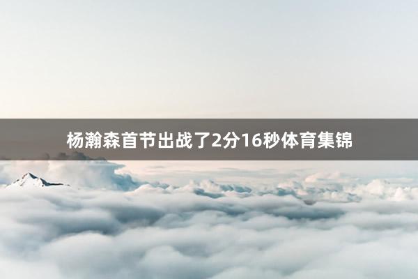 杨瀚森首节出战了2分16秒体育集锦