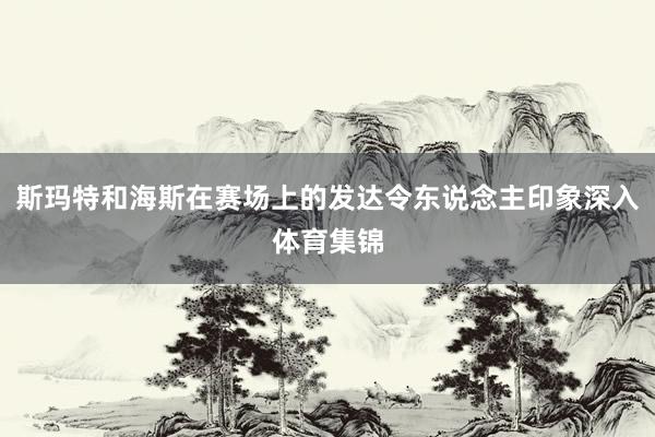 斯玛特和海斯在赛场上的发达令东说念主印象深入体育集锦