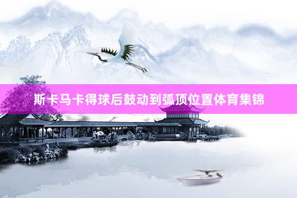 斯卡马卡得球后鼓动到弧顶位置体育集锦