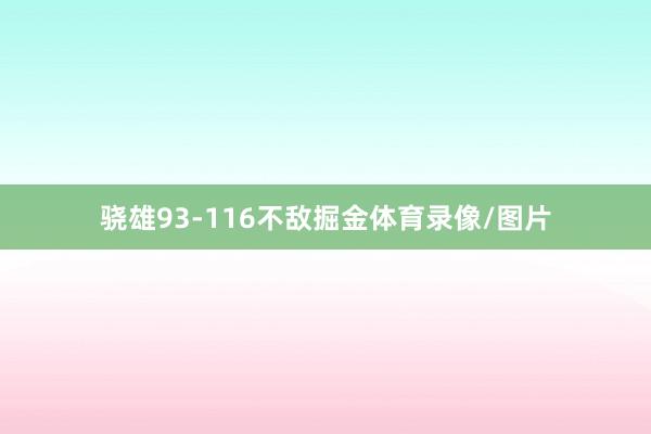 骁雄93-116不敌掘金体育录像/图片