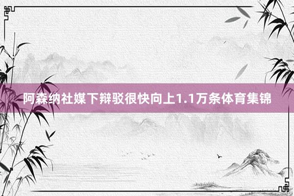阿森纳社媒下辩驳很快向上1.1万条体育集锦