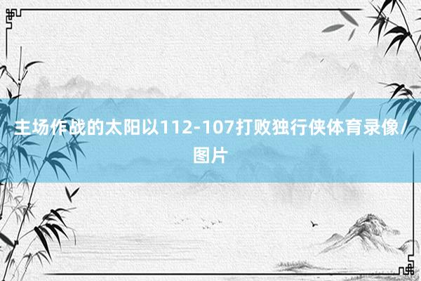 主场作战的太阳以112-107打败独行侠体育录像/图片