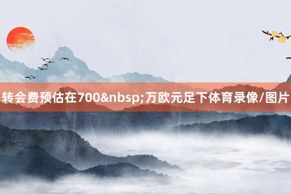 转会费预估在700万欧元足下体育录像/图片