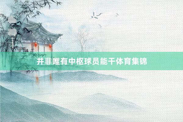 并非唯有中枢球员能干体育集锦