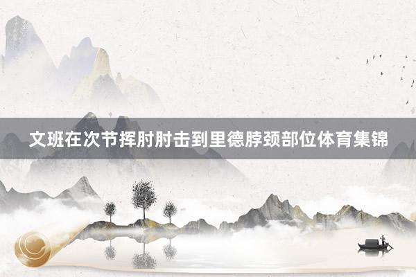 文班在次节挥肘肘击到里德脖颈部位体育集锦