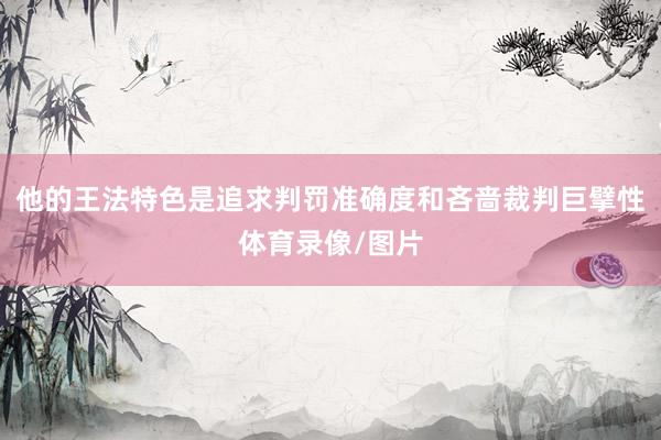 他的王法特色是追求判罚准确度和吝啬裁判巨擘性体育录像/图片